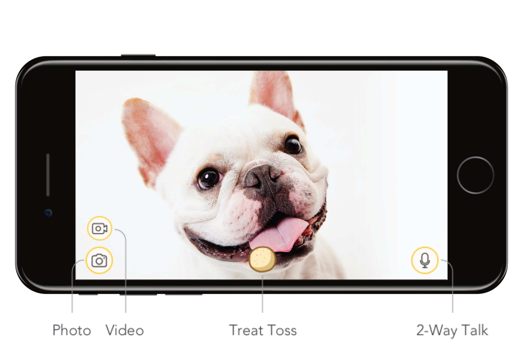 Smart Phone HD Live Stream Interactive Dog Camera