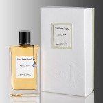 Van Cleef & Arpels Bois D`Iris Eau de Parfum 75ml