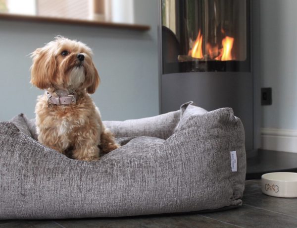 Bone & Home Luxury Dog Beds and Accessories