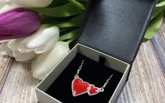 Charlie Delta Jewellery Double Heart Necklace